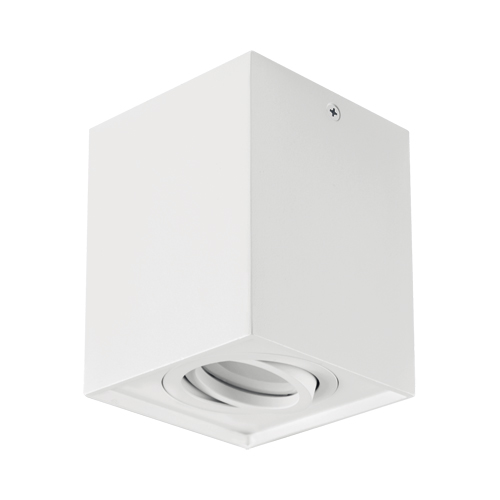 Kohtvalgusti HARY D GU10 valge/hõbedane/must - valge