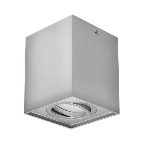 Kohtvalgusti HARY D GU10 valge/hõbedane/must - hõbedane