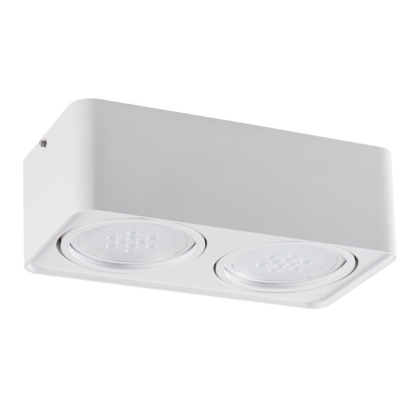 Kohtvalgusti TUBEO ES 250-W Kanlux