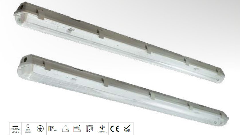 LED laevalgusti IP65, 60W 150cm päeva valge Ecolux