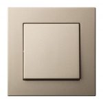 EPSILON Switch 1-NO IJ1-10-203-01 E/Ch цвета шампанского без рамки