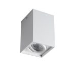 Kohtvalgusti GORD XS DLP-50-W Kanlux