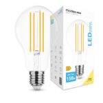 LED-lamp Filament Globe A70 17W E27 360° 2700K (2452 lumen)