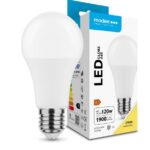 LED-lamp Globe A65 18,5W E27 270° 2700K (1900 lumen