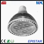 Led pirn CO-P210-12W-E27 (PAR38)-WW Epistar